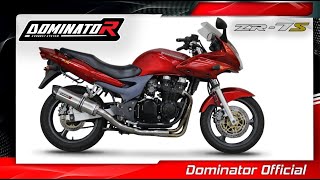 Kawasaki ZR7S  Dominator Exhaust Sound [upl. by Luann]