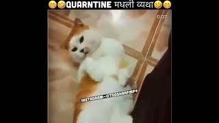 NEW TOOSHARPDUBS comedy video  parody TOOSHARP DUDE  18 MARATHI COMEDY  ANIMAL COMEDY [upl. by Sontich]