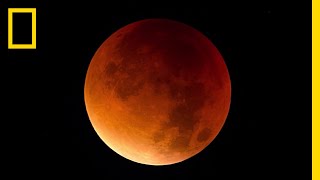 Lunar Eclipse 101  National Geographic [upl. by Aicilic]