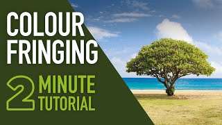 Easy Way to Remove Chromatic Aberration in Photoshop 2MinuteTutorial [upl. by Yldarb]