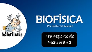 TRANSPORTE DE MEMBRANA Difusão Simples  BIOFÍSICA [upl. by Boiney931]