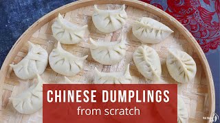 How to Make Chinese Dumplings From Scratch Jiaozi 饺子 [upl. by Dunham]