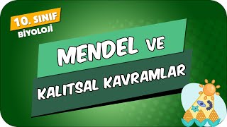 Mendel ve Kalıtsal Kavramlar  10Sınıf Biyoloji 2024 [upl. by Polivy]