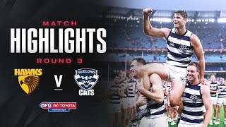 Hawthorn v Geelong Highlights  Round 3 2024  AFL [upl. by Yraeht999]