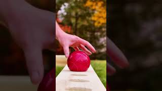 How to Build a DIY Bocce Ball Court  YellaWood [upl. by Desta533]