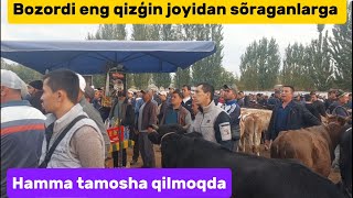 Tergachi mol bozori ģunajinlar VA sigirlar narhlari bilan tanishing 11102024yil [upl. by Hagep427]