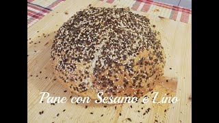 PANE con Semi di SESAMO e LINO [upl. by Anaert480]