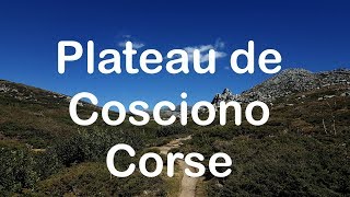 03 Mon séjour en Corse  Plateau de Cosciono [upl. by Levine758]