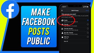 How to Make a Post Public on Facebook [upl. by Perren]