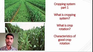 Cropping System1Standard 11 BIFOCAL B4 crop science lecturesCrop rotationCrop rotation [upl. by Anawahs]