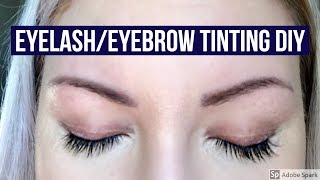 HOW TO TINT YOURE OWN LASHES amp BROWS DIY RefectoCil Review [upl. by Acirretahs]