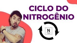 Ciclo do Nitrogênio  Ciclo Biogeoquímicos [upl. by Bilski479]