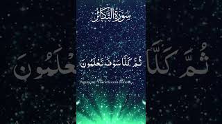 Surat AlTakathur  Beautiful Recitation By Mishary Alfasyqoran quran [upl. by Amethist]