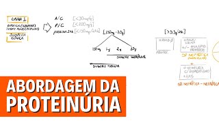 Abordagem da Proteinúria Resumo Visual [upl. by Mayrim372]