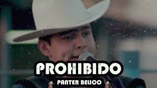 Panter Belico  Prohibido Corridos Belicos 2023 [upl. by Annavaj]