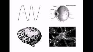 NonPhysical Properties of the Mind Qualia 1 Introduction [upl. by Eldwon737]