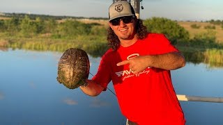 INVASIVE Pond Turtle Catch Clean Cook AMAZING [upl. by Mariele]