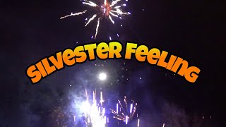 SILVESTER COMPILATION Teil 3  Noch 61 Tage bis Silvester [upl. by Stiegler109]