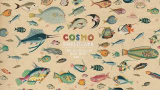 Cosmo Sheldrake  Hocking Instrumental [upl. by Kristine]