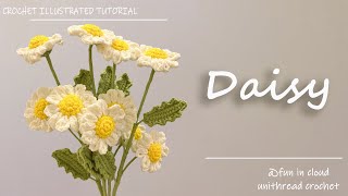 How To Crochet Daisy  Detailed Crochet Tutorial [upl. by Stevana]