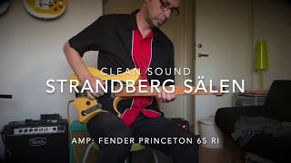 Strandberg Sälen  Clean sound demo [upl. by Hebert24]