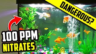 Are Nitrates in Your Aquarium Good or Bad How to Find The Ideal Level [upl. by Nahraf232]