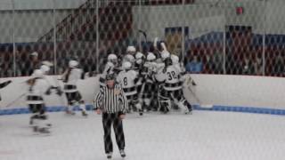 Katelyn Joyal scores gamewinning OT playoff goal for Longmeadow High School girls hockey [upl. by Wendt]