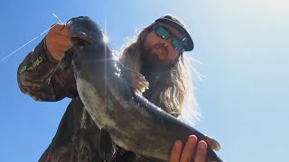 Lake Chabot Bass amp Whopper Catfish Summer Fun Junk Fishing amp More July Central CA [upl. by Briant]