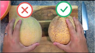 How to pick a sweet and juicy cantaloupe melon  5 things to look for  How to cut cantaloupe [upl. by Ojahtnamas]