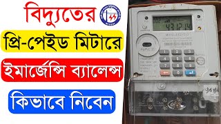 কিভাবে প্রিপেইড মিটারে ইমার্জেন্সী ব্যালেন্স নিবেন  How to Get Emergency Balance in Prepaid Meter [upl. by Crespo]