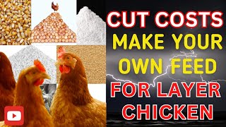 How to make cheap chicken feed for layer chickens from home using local ingredients [upl. by Gnouhk100]