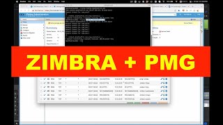 HOW TO SETUP PROXMOX MAIL GATEWAY WITH ZIMBRA [upl. by O'Kelly571]