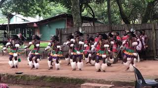 This is Swaziland Traditional Swazi dance [upl. by Marylou]