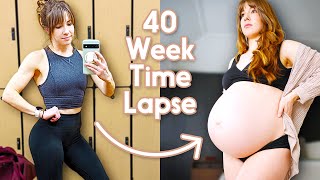 Adorable Pregnancy Time Lapse  Incredible Week by Week Transformation third pregnancy [upl. by Carey]