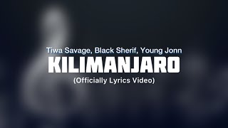 Tiwa Savage Black Sherif Young Jonn  Kilimanjaro lyrics video [upl. by Bergstrom]