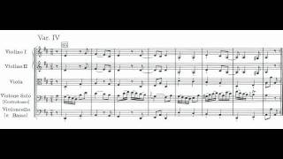 Haydn Symphony No72  György Schweigert Double bass solo [upl. by Frierson965]