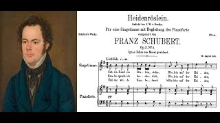 Franz Schubert  Heidenröslein Sheet music and lyrics [upl. by Berton478]