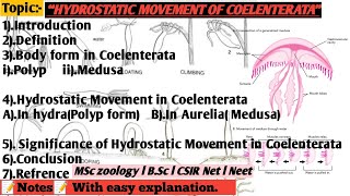 Hydrostatic Movement in Coelenterata [upl. by Leuqram]