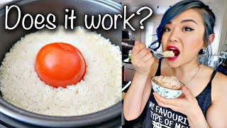 Tomato in a Rice Cooker Hack EASY but DOES IT WORK vegan [upl. by Etakyram]