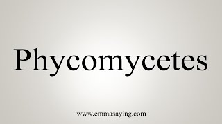 How To Say Phycomycetes [upl. by Meilen]