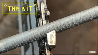 How to sharpen chainsaw chain with just a file  CLOSE UP VIEW [upl. by Atiekram]