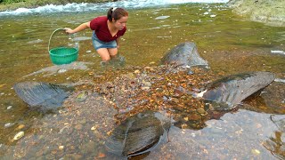 😱😱 I found some expensive pearl mussels they are too expensive [upl. by Jorie]