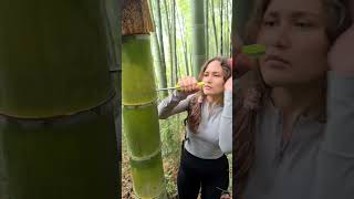 nature bamboo bushcraft satisfying survival wood lifehack camping outdoors army [upl. by Saihttam]