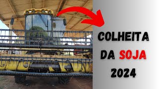 COLHEITA da SOJA 2024 [upl. by Radburn]