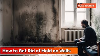 Wall Mold Removal  How to Get Rid of Mold on Walls  Mold Busters [upl. by Cicily]