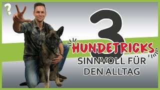 3 sinnvolle Hundetricks für den Alltag  Hundeerziehung [upl. by Emmalyn]