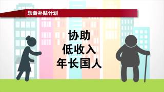 Budget 2015 Summary Strengthening Retirement Adequacy Mandarin [upl. by Lindsy714]