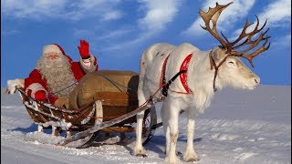 Santa Claus for kids 🦌🎅 Best reindeer rides of Father Christmas in Lapland Finland for children [upl. by Airdnaz]