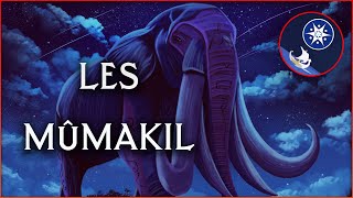 Les Mûmakil  Histoire Naturelle Tolkien 1 [upl. by Adnawahs]