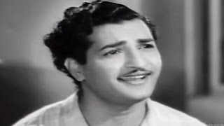 Missamma Movie  Kaavalante Istaale Video Song  NTR ANR SVR Savitri Jamuna [upl. by Bashee]